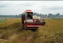 Petani Bangkalan Diminta Tetap Semangat Hadapi Ancaman El Nino