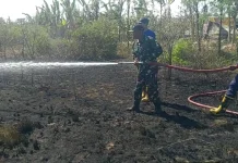 Puntung Rokok Diduga Picu Kebakaran Lahan PT Garam