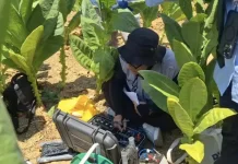 BPBD Sampang dan Dinas ESDM Jatim Cek Tanah Bergemuruh di Kedungdung