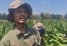 Soal Tanah Bergemuruh di Sampang, Ini Imbau Dinas ESDM Jatim