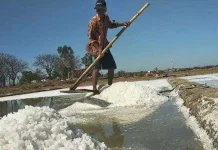 Sampang Miliki Potensi Besar Jadi Sentra Garam Jawa Timur