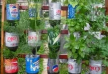 Dorong Partisipasi Masyarakat Lestarikan Lingkungan sejak Dini