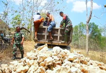 Jembatan Kayu Terbakar, Kodim Sampang Sigap Kirim Material dan Tenaga