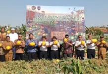 Lapas Pamekasan Wujudkan Ketahanan Pangan lewat Budidaya Buah dan Telur