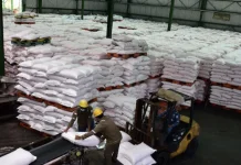 Disperta KP Sampang Tegaskan Bantuan Pupuk Subsidi Hanya untuk Petani yang Berhak
