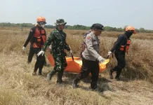 Hari Ketiga Pencarian, Nenek 71 Tahun Ditemukan Meninggal di Persawahan
