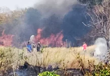 Lahan Kosong di Bangkalan Terbakar, Babinsa dan Damkar Bergerak Cepat