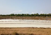 Petani Garam Sumenep Kesulitan Bahan Baku Air