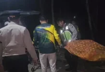 Bacok Mertua hingga Tewas, Warga Sampang Ditangkap Polisi