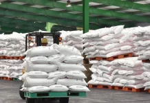 Pemkab Sampang Siap Usulkan Alokasi Pupuk Subsidi 2027
