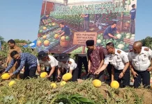 Lapas Kelas IIA Pamekasan Manfaatkan Lahan Tidur untuk Program Ketahanan Pangan