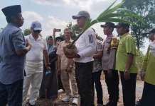 Bupati Bangkalan Tanam Bibit Kelapa Bersama Kelompok Tani