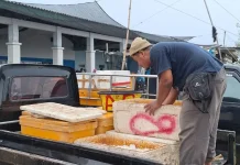 Sang Salik yang Sembunyi dengan Jubah Penjual Ikan