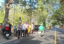 Polisi Ungkap Kronologi Kecelakaan Maut di Pamekasan
