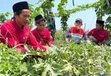 Dulu Gersang, Kini Menghijau: Kisah Petani Bangkalan Bersama Pertamina