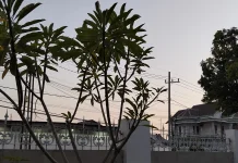 Cuaca Cerah Berawan untuk Kabupaten Sampang, Minggu 4 Oktober 2026
