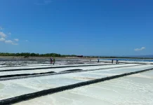 PT Sumatraco Berdayakan Warga Pangarengan lewat Industri Garam