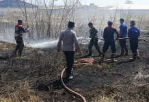 Pasca Panen Tembakau, Kebakaran Lahan di Sampang Melonjak Tajam