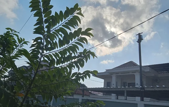 Cuaca Sampang Madura Didominasi Berawan hingga Cerah 2 Juli 2026