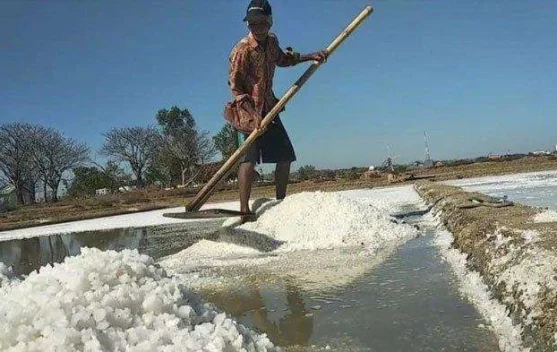 Produksi Garam Sampang Ditarget 325 Ribu Ton pada Tahun 2026