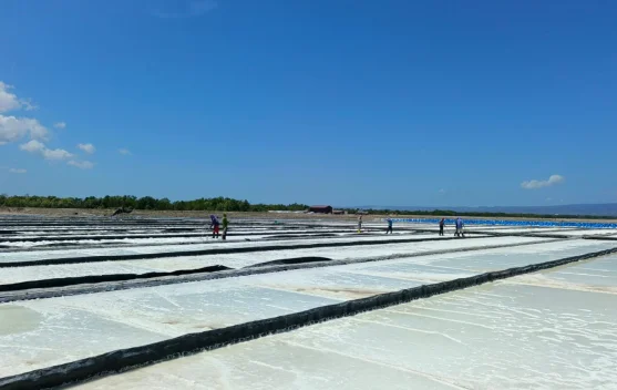 PT Sumatraco Berdayakan Warga Pangarengan lewat Industri Garam