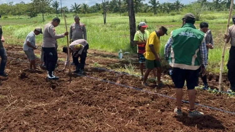 Polsek Tansel Dorong Peningkatan Ketahanan Pangan