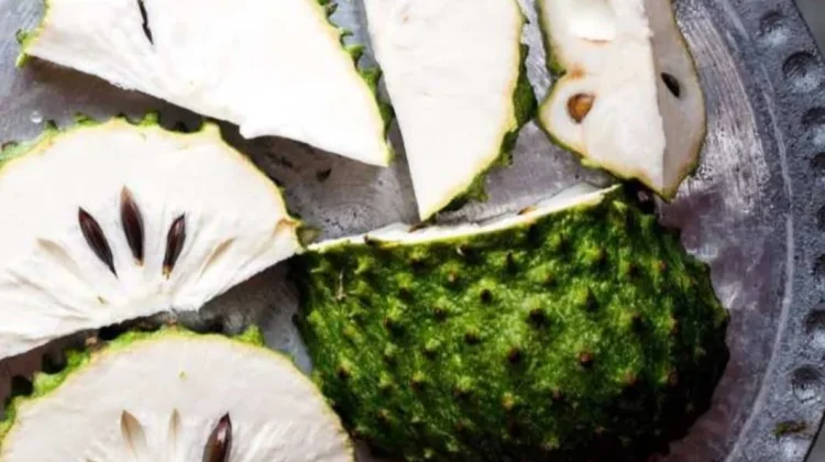 Harga Nangka  Sirsak cukup mahal di Kota Saumlaki.