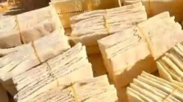 Sagu Tanimbar, Produk Lokal Bernilai Ekonomi di Tangan Pengusaha