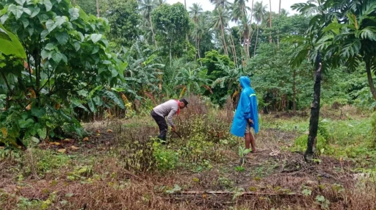 Bhabinkamtibmas Matakus dan Babinsa Perkuat Ketahanan Pangan