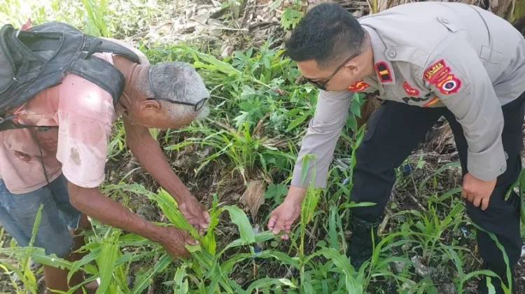 Kapolsek Nirunmas Turun ke Lahan Jagung Milik Petani