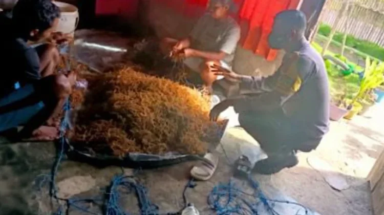 Bhabinkamtibmas Awear Rumngeur Sambangi Petani Rumput Laut
