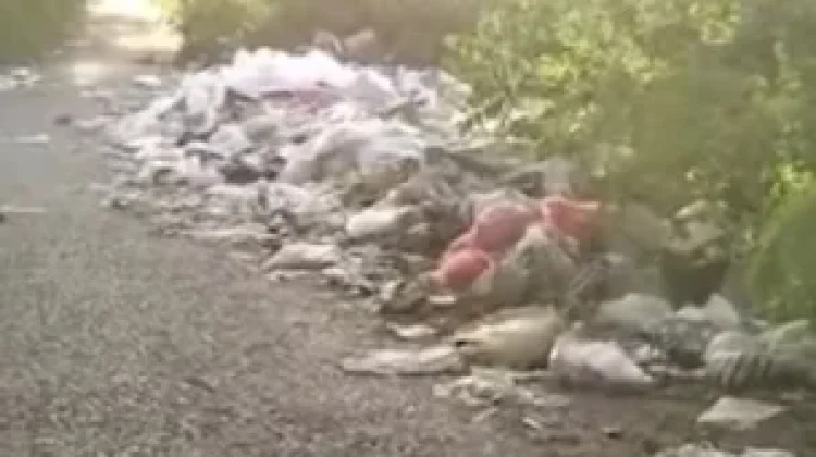 Warga Sifnana Keluhkan Sampah Berserakan di Pasar Omele