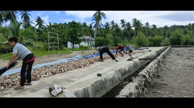 Bhabinkamtibmas Romnus Amankan Jemuran Kelapa Milik Warga