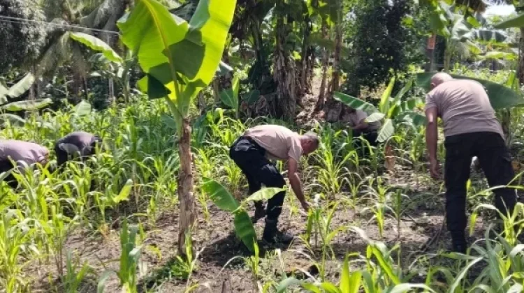 Polsek Nirunmas Kawal Ketahanan Pangan di Desa Tutukembong