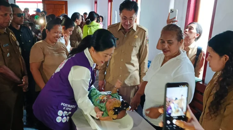 Ketua TP Posyandu Tanimbar Melakukan kunjungan kerja ke Desa Ridool,