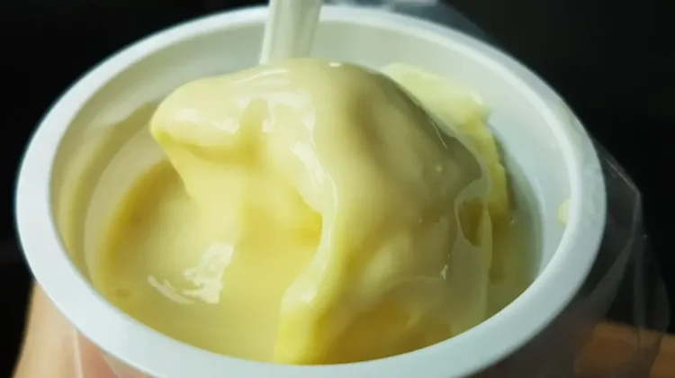 Cara Membuat Es Krim Ciptakan Kebahagiaan Buat Buah Hati
