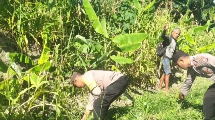 Polsek Nirunmas Rawat Lahan Jagung Seluas 1 Hektare