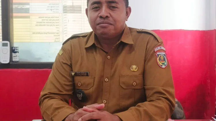 Pemdes Tumbur Menyambut  Kunjungan Ketua TP PKK Provinsi Maluku
