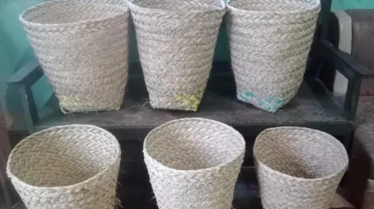 Pengrajin Lokal kreasikan daun lontar menjadi bakul bernilai ekonomi