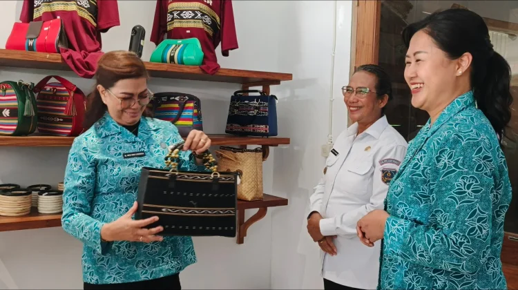 Wabup Juliana Ajak Ormas dan LSM Kolaborasi Bangun Tanimbar.