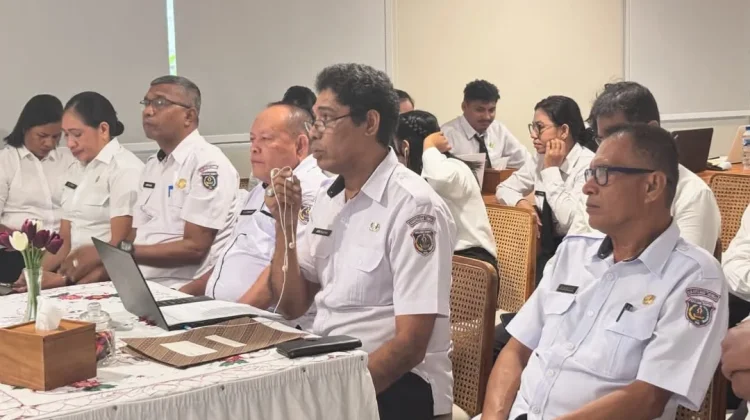 24 Auditor Kepulauan Tanimbar dan Buru Ikuti Pelatihan Fungsional