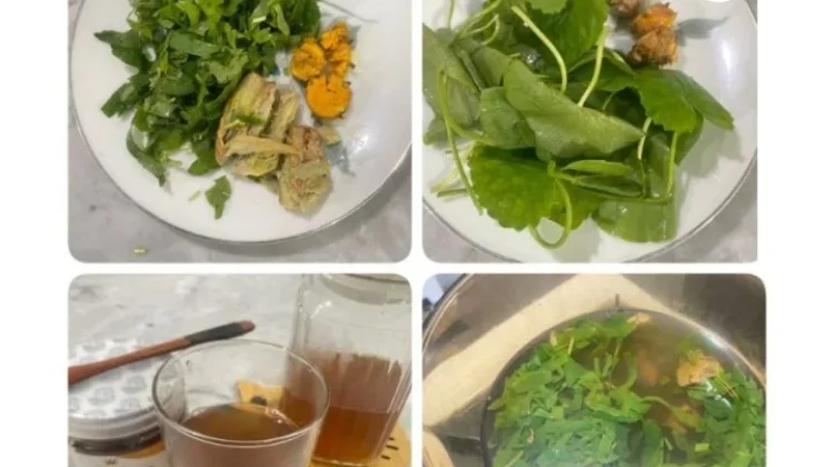 Ragam Herbal di Alam untuk Kesehatan Tubuh