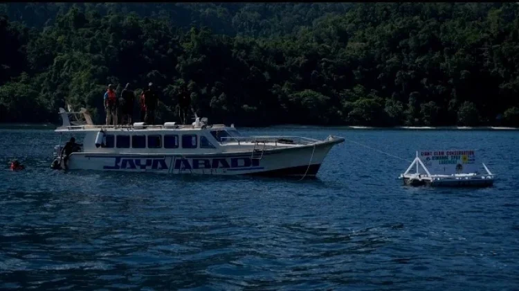 Wisata Bahari Indonesia