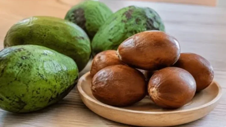 Manfaat Biji Alpukat
