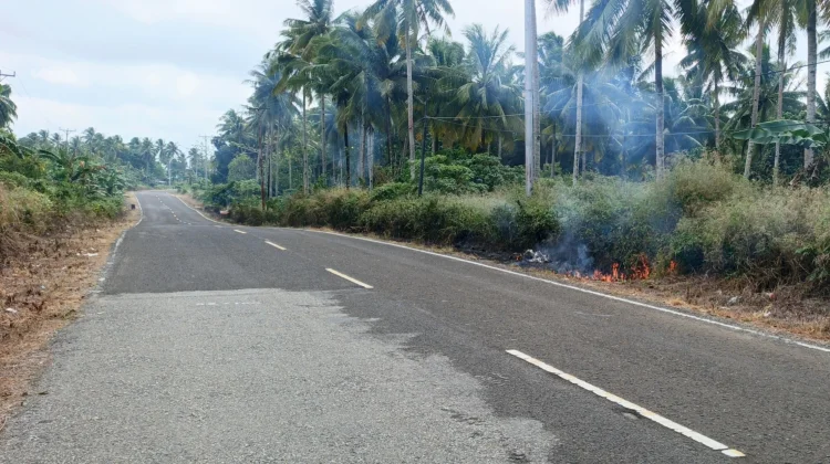 Kebakaran Lahan di Jalan Trans Yamdena Desa Wowonda Tanaman Warga Ikut Terbakar