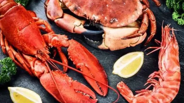 4 Manfaat Chitosan untuk Tubuh