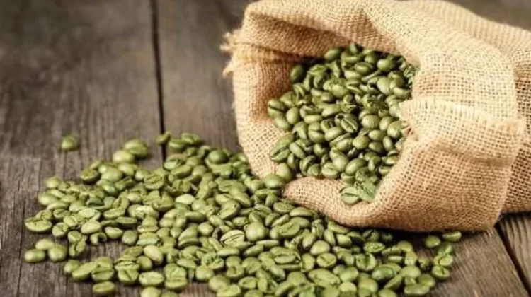 Resiko-resiko Minum Kopi Hijau