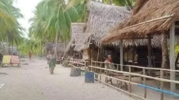 Nyafar dan Arin: Rumah Kebun Tradisional Tanimbar
