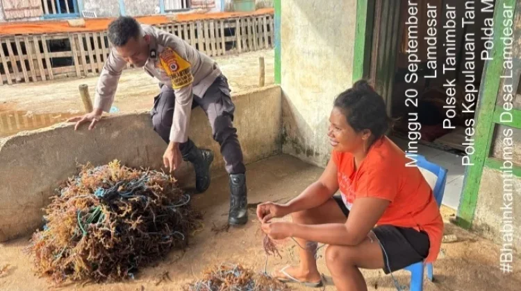 Bhabinkamtibmas Lamdesar Barat Sambangi Petani Rumput Laut