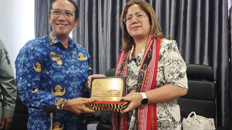 Tanimbar Jadi Kunci Revisi UU Migas Nasional Komite II DPD RI Sambangi Saumlaki